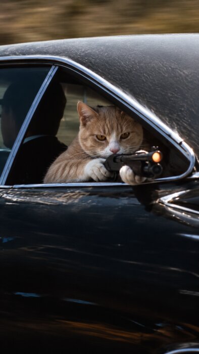 En katt i en bil håller i en leksakspistol, med allvarligt uttryck, ses genom ett halvöppet fönster.