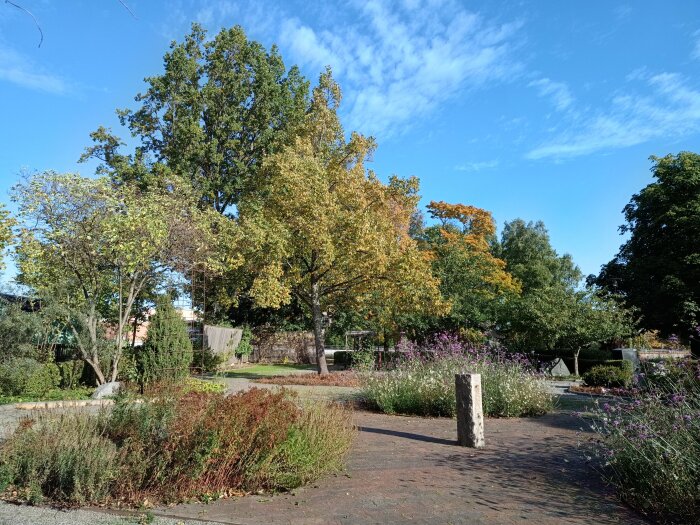 Rothoffsparken i Eskilstuna i höstskrud med träd i gyllene och gröna färger, blå himmel och blomstrande buskar.