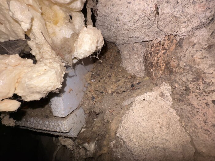 Uppbrutet område bakom träpanel, med fogskum och en öppning i källaren. Synligt material inkluderar betong och isolering. Möjlig plats för råttor.