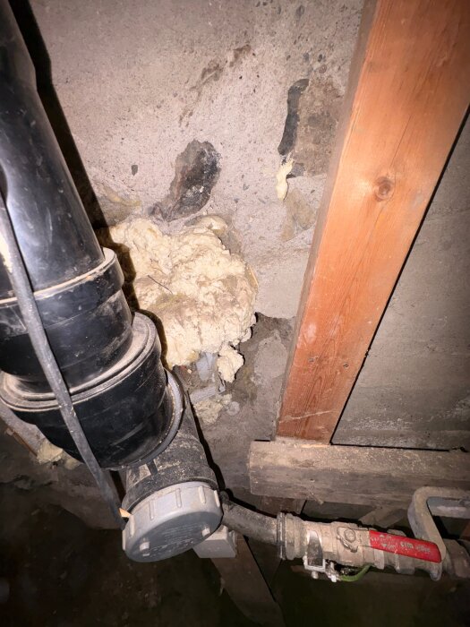 Svart avloppsrör i en källare, hål i väggen delvis fyllt med fogskum. Träpålar syns bredvid rör och skum. Eventuellt råttproblem diskuteras.