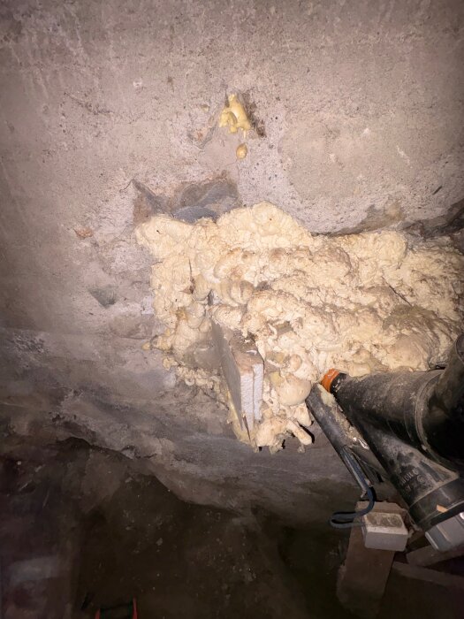 Golv med delvis borttagen träpanel visande fogskum och ett svart avloppsrör. Potentiell ingång för råttor, funderingar kring att använda betong.