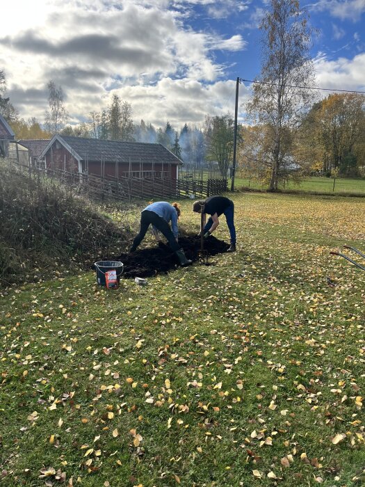 Två personer arbetar i en höstträdgård, gräver i jorden för att bygga en odlingsbädd. Löv täcker marken, och en röd lada står i bakgrunden.