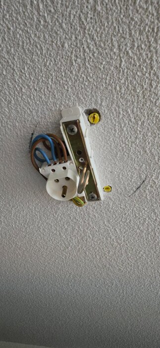 Elektrisk kontakt med borttagen kåpa monterad i taket, exponerade kablar i blått och brunt mot en vit strukturerad yta.