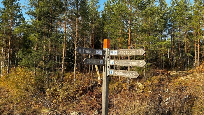 Vägskylt i skog visar avstånd till Träsket, Stegeborg, Nartorps Gård, Kvarndammen och Hultbacka, omgivet av höstfärger och barrträd.