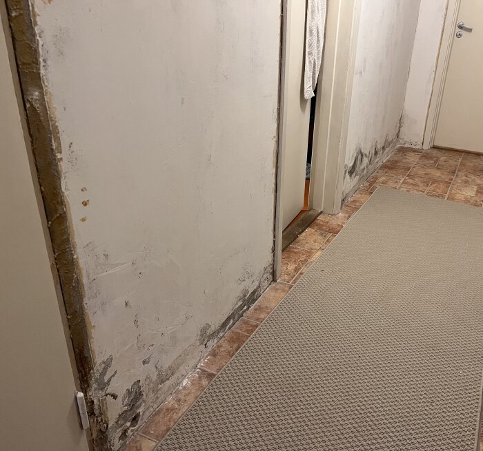Källarvägg med borttagen tapet, synliga fuktfläckar mot golvet, avslöjar mögelskadade hörn och murbruk. Klinkergolv med beige matta.
