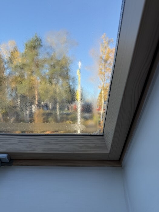 Kondens på insidan av ett takfönster under en kall och klar morgon, med träd suddigt synliga utanför.