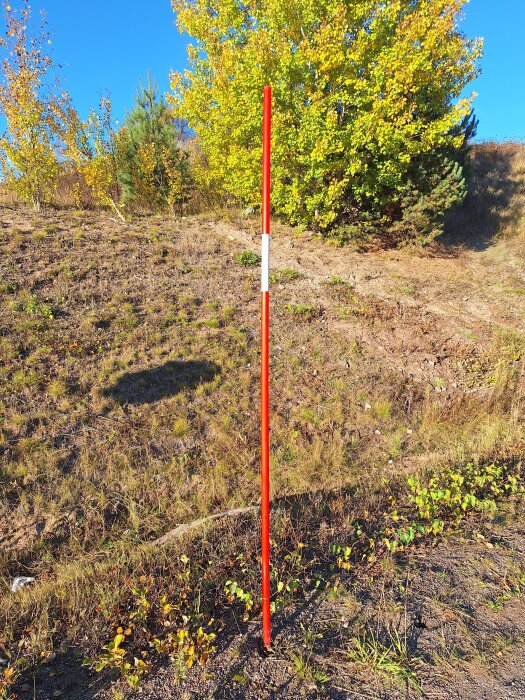 Röd och vit vägpinne står längs en grusig vägkant med höstgula träd i bakgrunden under klarblå himmel.
