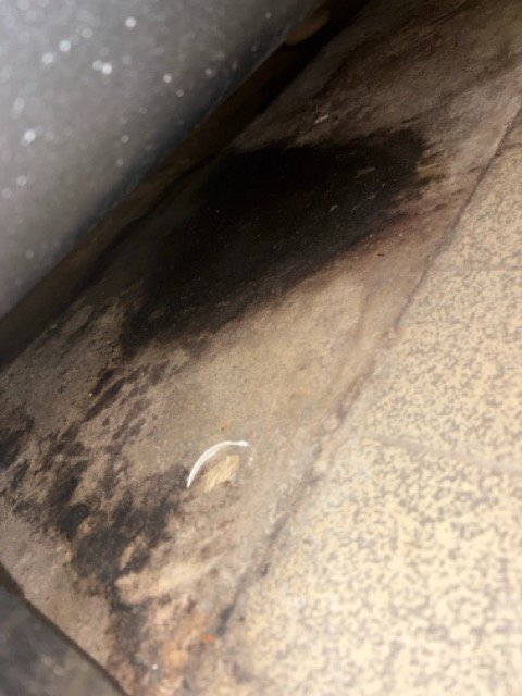 Vattenskada med svart missfärgning under badkar på betonggolv, med synlig pöl i sänka.