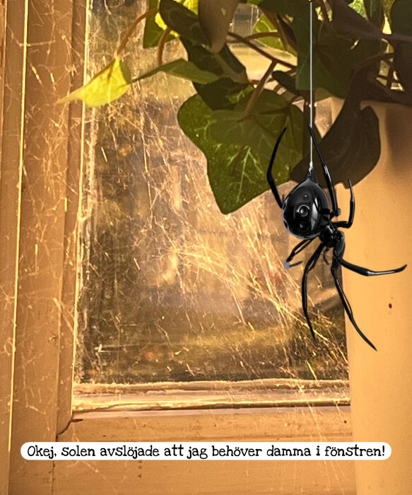 Spindel nedhängande från ett blad framför ett dammigt fönster med solstrålar, växter och spindelnät. Text: "Okej, Solen avslöjade att jag behöver damma i fönstren!
