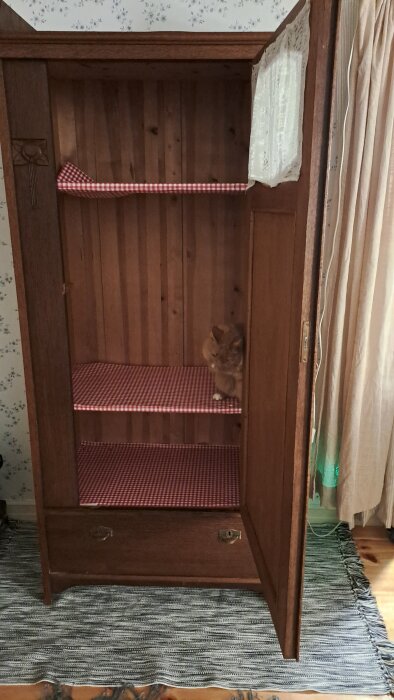 Öppet träskåp med rödvitrutiga hyllor, en liten orange kattunge sitter på hyllan.