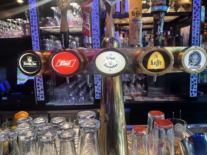 Ölkranar med märken: Hertog Jan, Budweiser, Tripel Karmeliet, Leffe och Gulden Draak på en bar i Zwolle, Nederländerna.