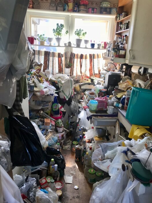 En stökig köksmiljö fylld med överfulla bänkar, skräp, plastpåsar och olika föremål; växter i krukor på fönsterbrädan.