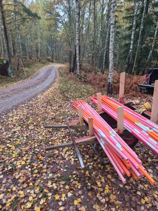 Rosa och orange plaströr på en kärra vid en grusväg i en höstig skogsmiljö, omgiven av björkträd och fallna löv.