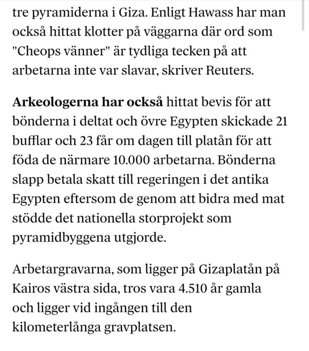 Text om pyramiderna i Giza, arbetsteam och matleveranser för byggarbete i antika Egypten.