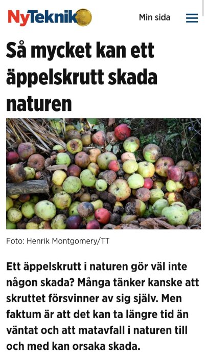 Ruttna äpplen och äppelskrutt på marken i en naturmiljö.