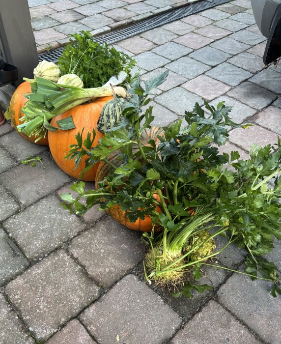 Pumpor och grönsaker ligger på marken framför ett hus under hösten.