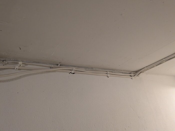 Kablar monterade i taket i en källare, fästa mot en vit målad väggyta.