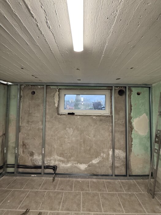 En oinredd källare med betongvägg, metallreglar och en liten rektangulär fönster med utsikt mot trädgård. Lampa i taket. Stege lutad mot väggen.