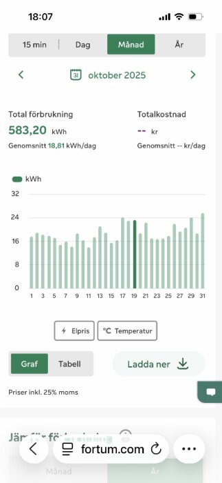 Elektronisk energirapport för oktober 2025 med total förbrukning på 583,20 kWh. Visar daglig förbrukning i ett stapeldiagram.