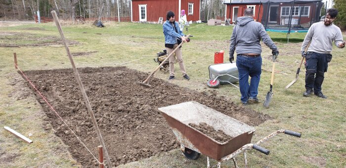 Fyra personer arbetar med att planera ut matjord på en gräsmatta med spadar och en skottkärra bredvid ett rött trähus.