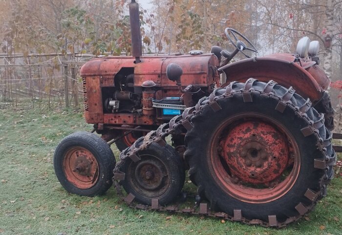 En gammal, röd traktor med kedjor på däcken står i en trädgård, omgiven av höstlöv och trädridåer.