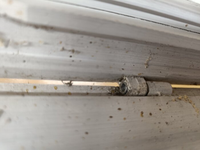 Närbild på ett koppelbeslag mellan fönsterbågar, delvis täckt av smuts och färgrester, i samband med fönsterrenovering.