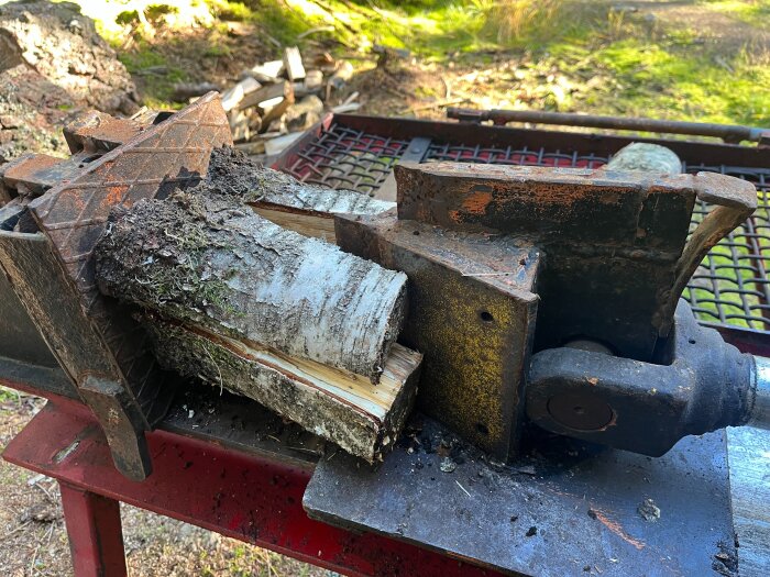 Vedklyv som klyver en trädstock i skogen, omgiven av andra träbitar och grönska i bakgrunden.