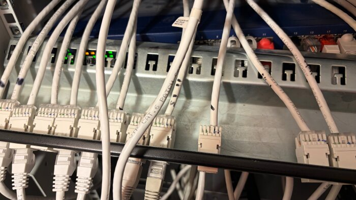 Nätverkskablar som är anslutna till en patchpanel med blinkande lampor, organiserade i ett serverrack.