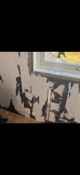 Vägg med avskrapad tapet visar svart lager bakom, bredvid fönster med sprayflaska, i äldre hus.
