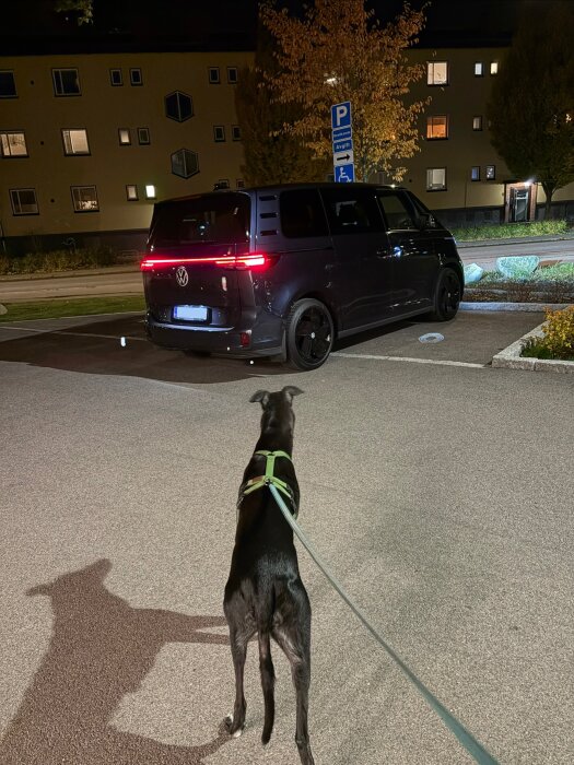 Hund med koppel står på parkering, tittar på en svart Volkswagen minibuss. Kvällstid, gatubelysning lyser upp området.