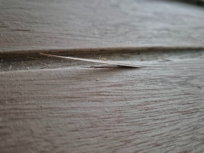 Närbild av obehandlad förrådsdörr i luanplywood med upprivna träfibrer och flisor i de frästa spåren.