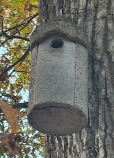 Betongfågelholk monterad på trädstam, cylindrisk med runt ingångshål, omgiven av höstlövverk.