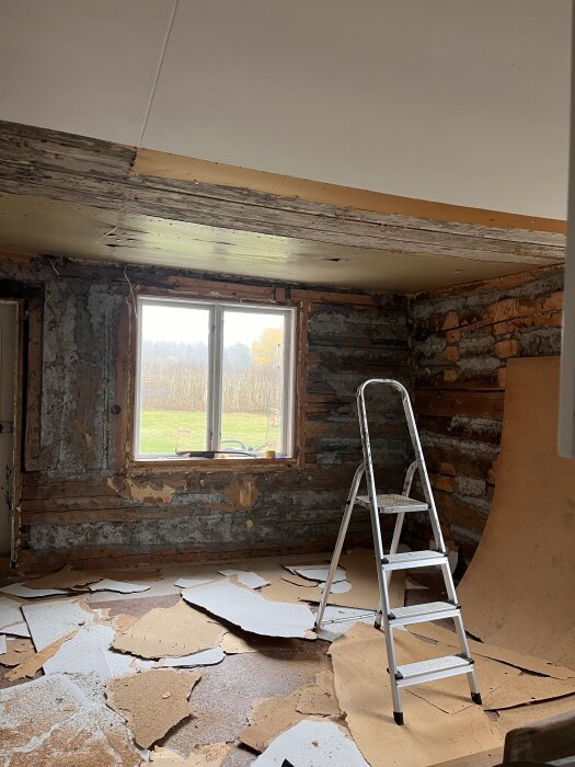 Rum under renovering med rivna masonit- och pappspänningsbitar på golvet och en stege vid ett fönster, som visar ruffa timmerväggar och ett gammalt tak.