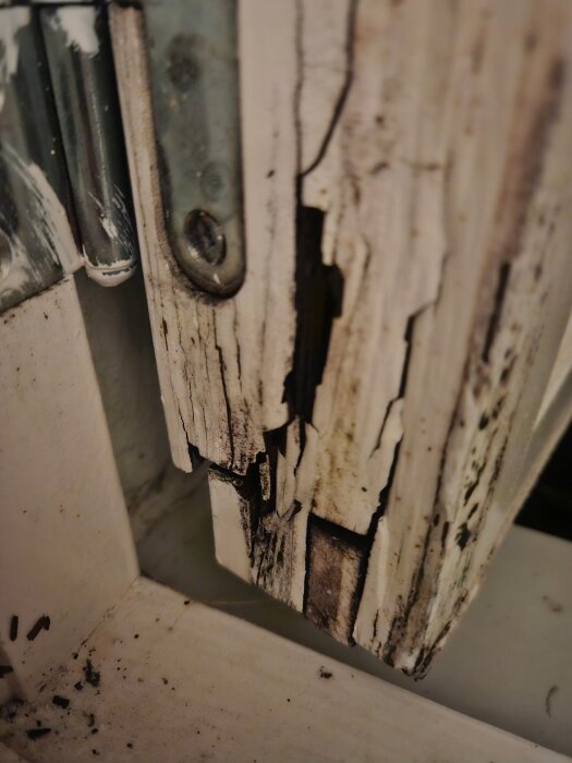 Ruttet trä på fönsterkarm med synliga skador och rostig gångjärnsdel.