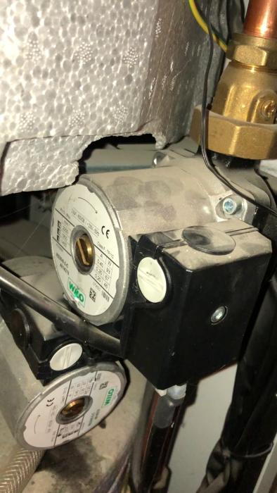 55848C71-8447-40F7-8DAE-65AEE3752052.MOV