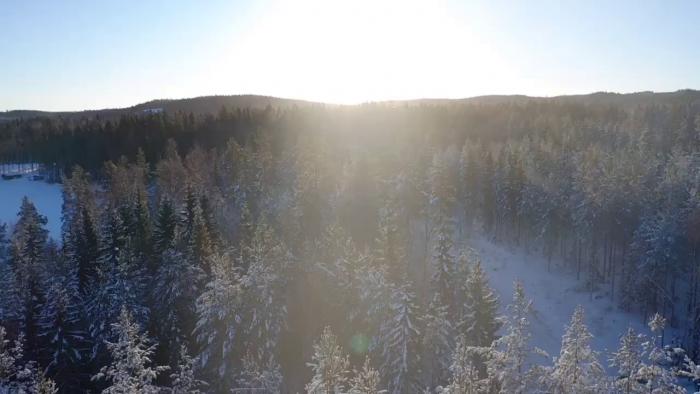 Följ Joachims resa med att omvandla ett arv i Dalarna till ett året runt hem. Från tjuvstart med hästmyror till drömmen om snickrande, se utvecklingen av denna skogspärla.