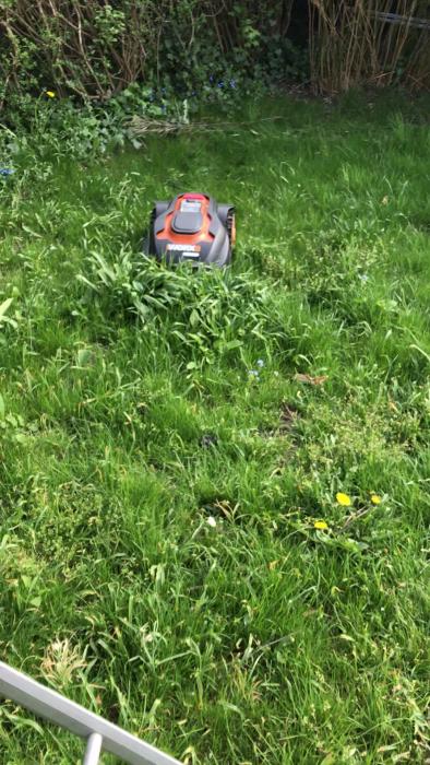 Se hur en robotgräsklippare som inte underhållsladdats över vintern lyckas starta och fungera. Testar om den kan ta laddning ordentligt.