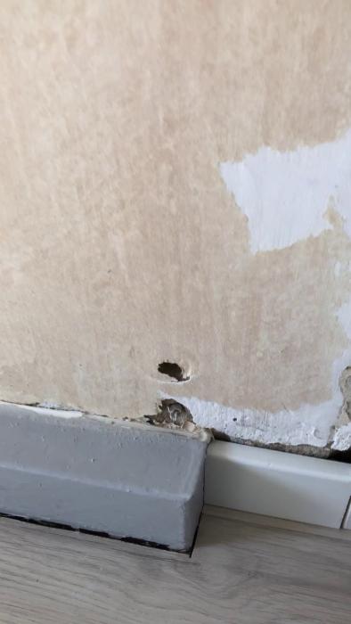 I denna video undersöker vi skadorna på en vägg där gamla plugg har lämnat hål och frågar hur vi bäst går tillväga för att förbereda för spackling och vidare renovering.