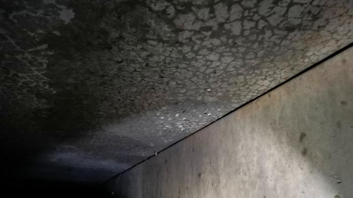 Video visar upptäckten av fukt i en torpargrund under ett hus från 71, med betongväggar. Analyser visar fuktnivåer och vattendroppar vilket väcker frågor om åtgärder och dagvattenpåverkan. Ägarna efterfrågar råd.