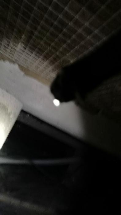 Amatörer undersöker torpargrund med pannlampa och dokumenterar fuktighet. Fuktmätare visar 7-13%, droppar från 'taket' och vått trävirket. Behov av åtgärd? Input önskas.