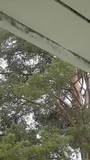 received_260921065126293.mp4