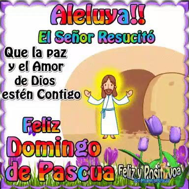 VID-20200412-WA0025.mp4