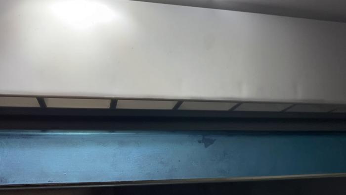 Video visar det ovanliga ljudet från en Siemens frys. Uppladdaren söker råd för att förstå och beskriva problemet till en tekniker.