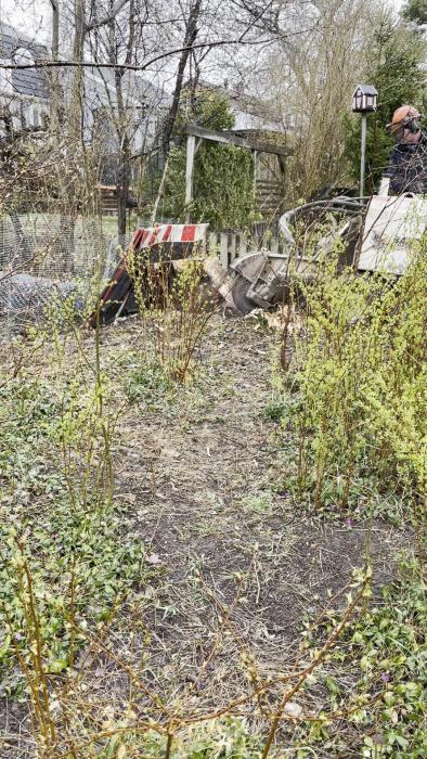 Ett trädgårdsområde med grönskande växtlighet, en vägspärrskylt och maskinell utrustning i bakgrunden vid ett staket.