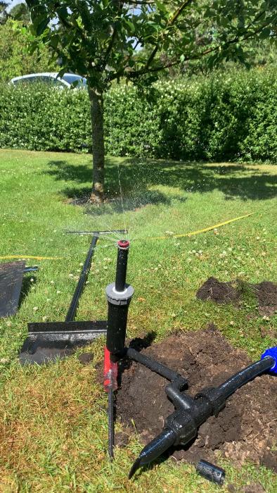 Sprinklersystem installerat i gräsmatta, vatten sprutar ut, träd i bakgrunden, soligt väder.