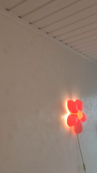 Filmen visar en ljus vägg med subtila mönster och en liten insekt synlig.