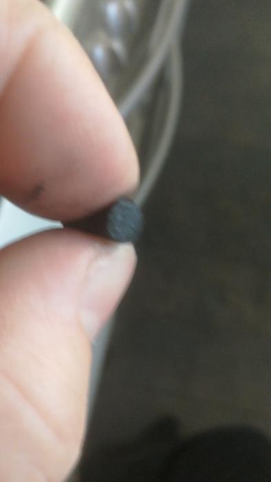 En person håller ett litet svart föremål mellan tummen och pekfingret framför suddig bakgrund. Objektet ser ut att vara organiskt.