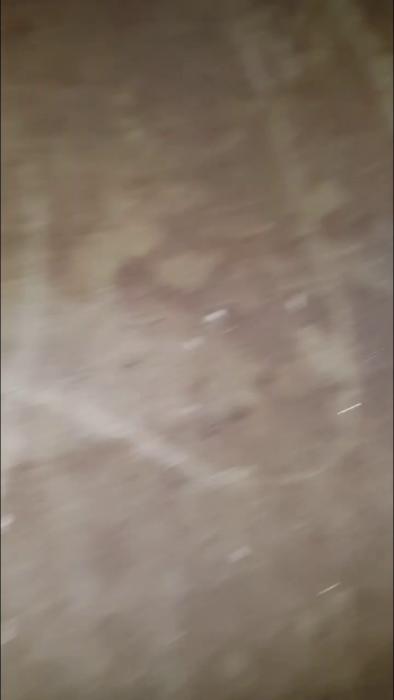 Filmen är mycket suddig och otydlig, visar en brunaktig yta med fläckar och partiklar, kanske en golv- eller väggyta.