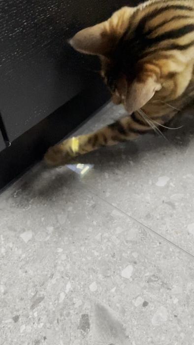 Film på en terrazzo-golv och en svart vägg, med ett otydligt föremål i förgrunden och en ljusreflektion på golvet.