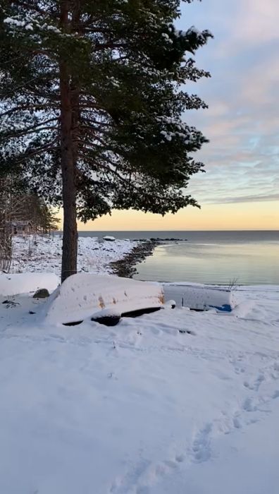 Ett vinterlandskap vid skymning med snötäckt mark och träd, en stilla sjö reflekterar himmelsfärger, fridfullt och kyligt scenario.